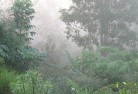 Tarrawarralandscaping-irrigation-4.jpg; ?>